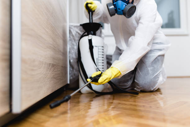 Reliable Dillon, CO Pest Control Solutions
