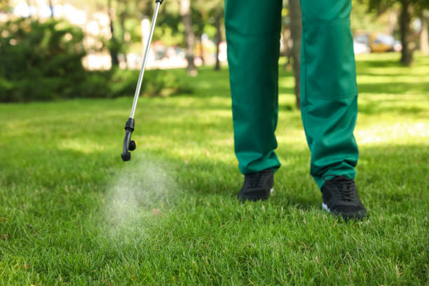 Best Wasp Removal Services  in Dillon, CO