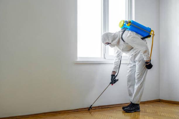 Best Affordable Pest Control Services  in Dillon, CO