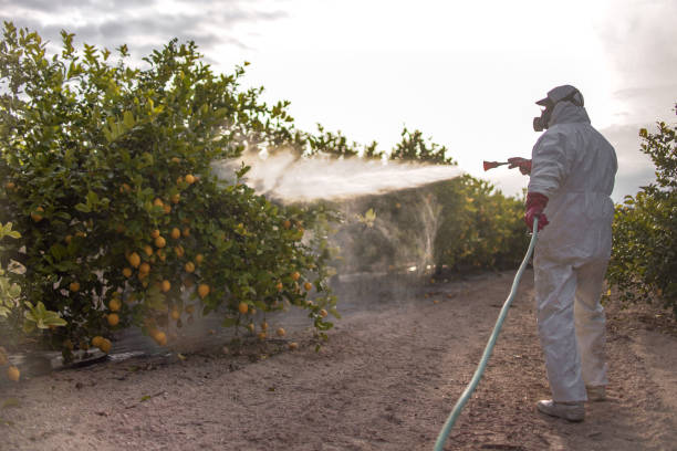 Wildlife Control Services in Dillon, CO
