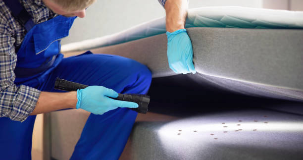 Best Rat Extermination Near Me  in Dillon, CO