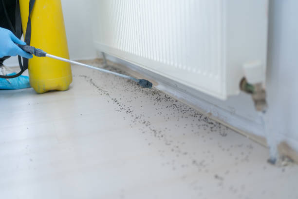 Best Commercial Pest Control Services  in Dillon, CO